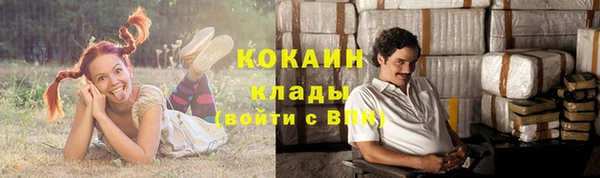 бошки Касимов