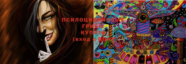 амф Карталы