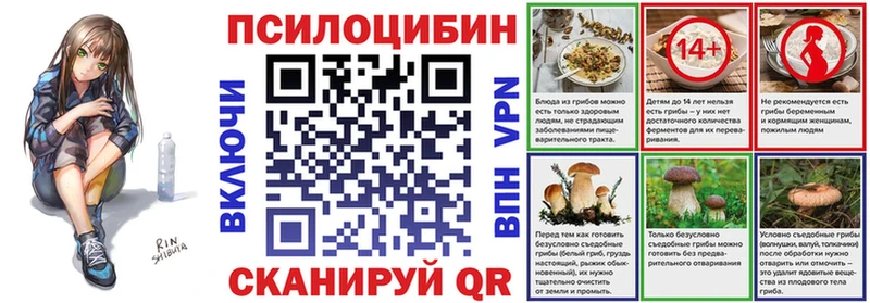 Купить закладки  Дагестанские Огни  Галлюциногенные грибы Magic Shrooms 